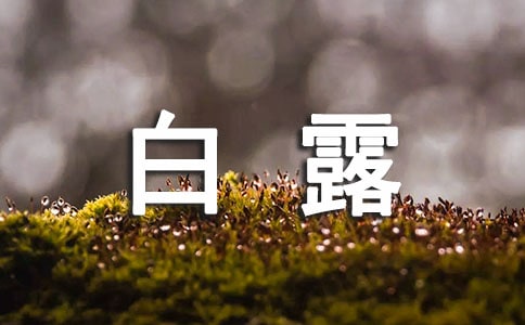 白露节气祝福语最新