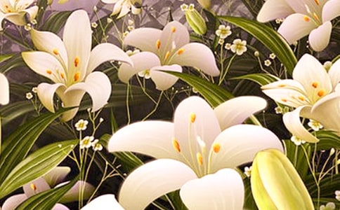 ���ݰٺϻ��ľ���23��