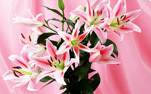 ���ڰٺϻ���Ψ������