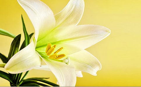 2023�����ݰٺϻ��ľ���18��