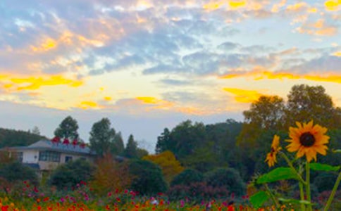 ����Ψ������