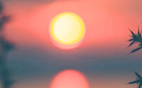 ������˵˵