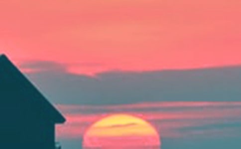 2024�����ݰ����ľ���44��