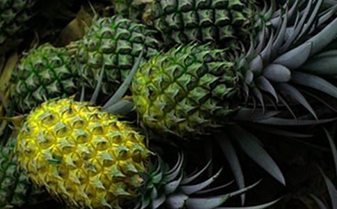 ���ݲ��ܵľ���