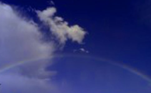 ������д�ʺ��Ψ������