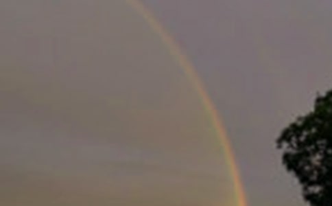 关于彩虹的唯美句子