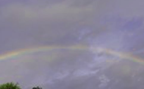 �йزʺ����־�ľ���