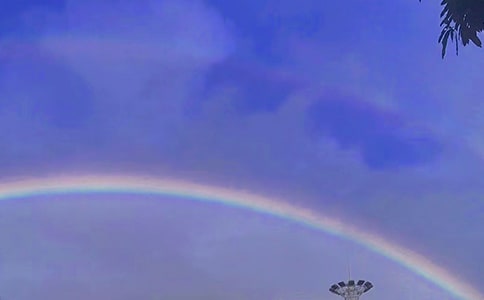 �ʺ��Ψ������