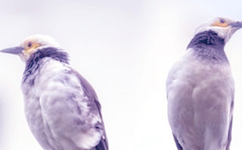 ���޳��ܳ�Ĭ��˵˵