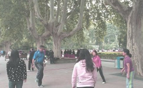 �����糿������˵˵