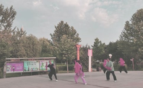 ������˵˵������Ȧ