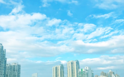 ����������㼲Ψ������