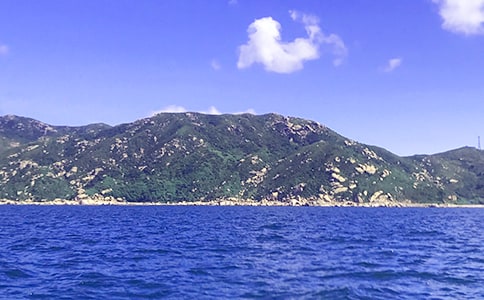 �泯�󺣵�Ψ������ 