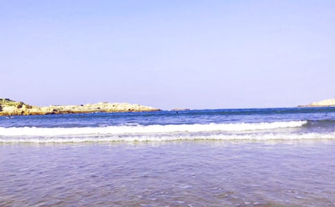 �йش󺣵�����