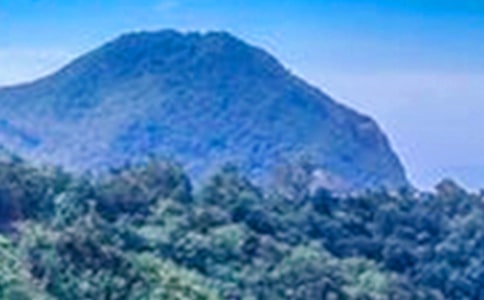 ��ɽ�������ʿ���������˵˵