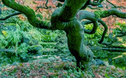 �����һ���ɳ�����־˵˵ �����һ��ɳ��ز�