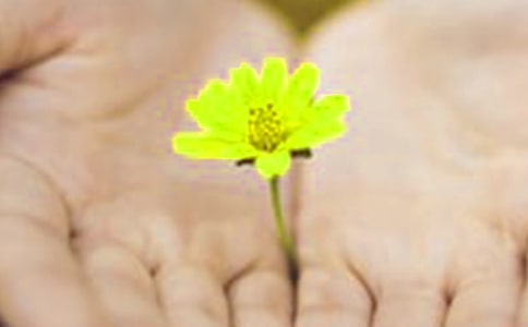 ��Ǹ����˵˵��¼��ȫ����ѡ100�䣩