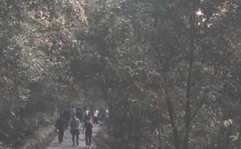 �＾��ɽ����˵˵���