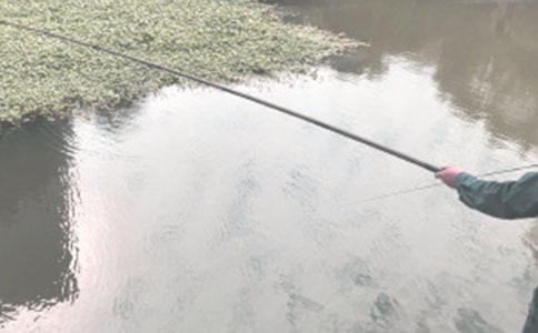 ȥ���㷢����Ȧ��˵˵