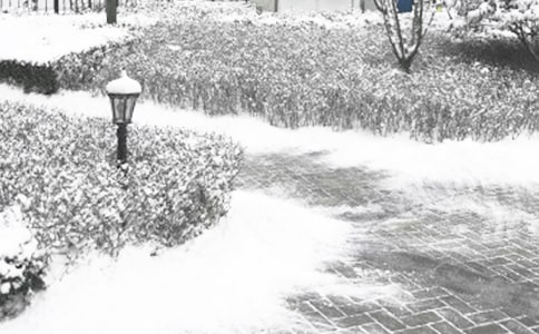 ������ĩף����