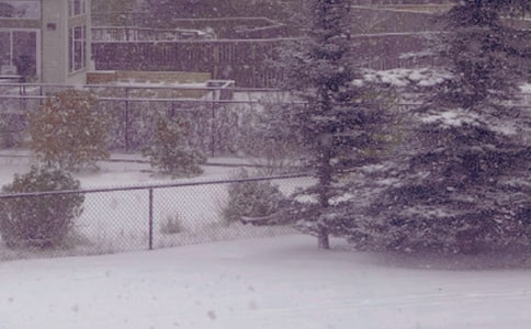 冬日暖阳唯美句子