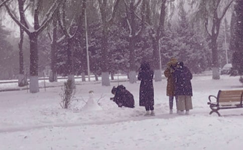 形容冬日景象的唯美句子