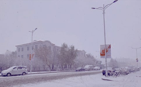 ���ڶ���ů����Ψ������