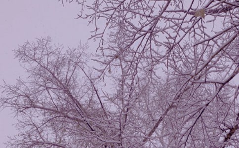 冬日暖阳的唯美句子