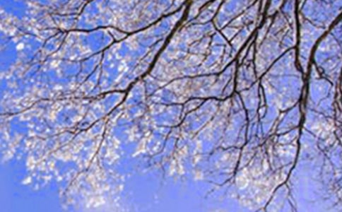 冬天个性说说语录100句精选