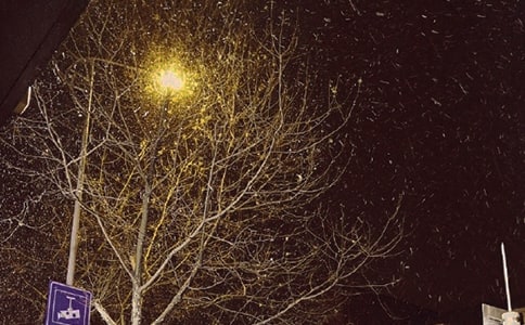 2024��򵥵����ݶ���ľ���16��