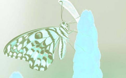 �趯ֲ�������ʫ��