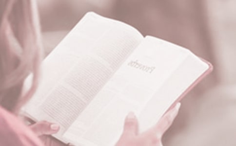 关于世界读书日的读书格言