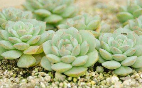 ����ϲ�������������˵˵