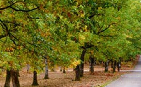 关于风景的说说