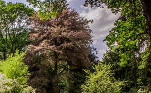 2022年经典形容风景的句子8句