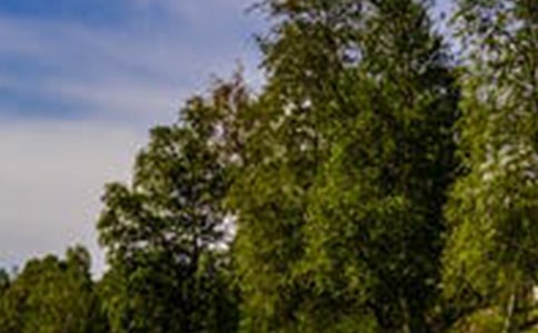 ҹ�ܼ��ܶ������ܿ��羰��˵˵