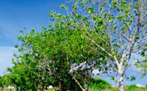 2025���й����ݷ羰�ľ���20��