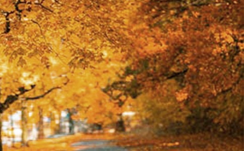 2025�����ݷ羰�ľ���16��