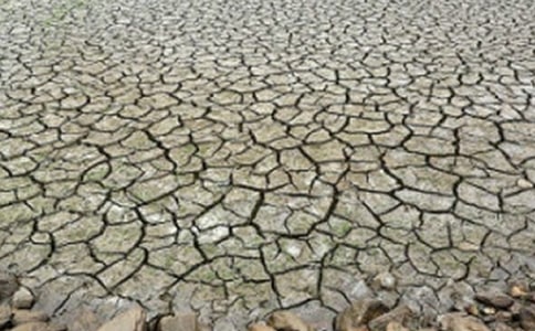 ��д�����ɺ��ľ���