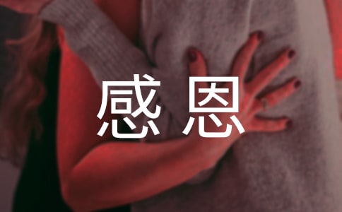 �ж�����־��������