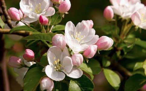 ��д���꺣�ĵ�˵˵