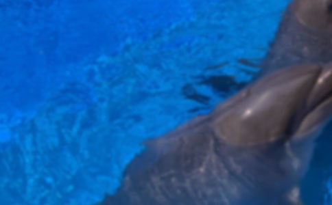 ������ò��д����