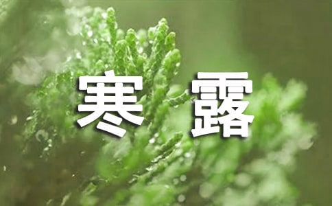 寒露节气祝福语短信