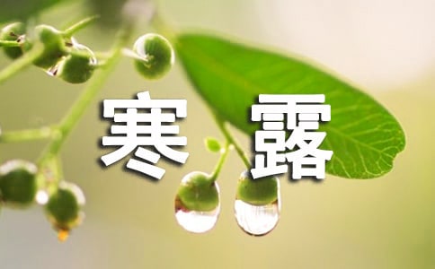 寒露节气祝福语短信通用