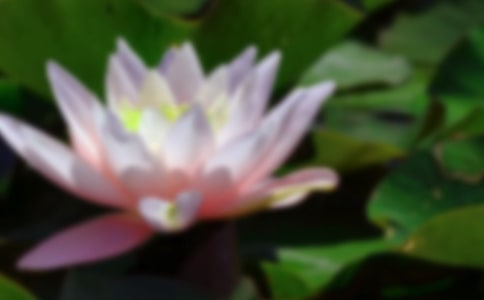 ��д�ɻ�����������