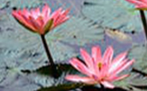 ��ѡ���ݺɻ��ľ��ӽ���51��