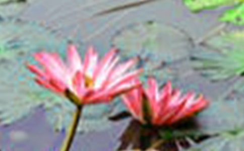 ��д�ɻ��ľ���