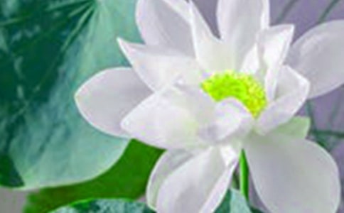 2024�꾫ѡ���ݺɻ��ľ��Ӽ���41��