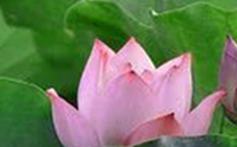 ���ݺɻ�δ���ľ���