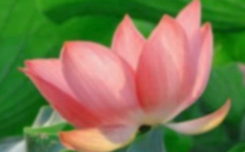 2024��ͨ�����ݺɻ��ľ��Ӽ���37��